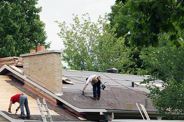 Best Roof Maintenance Services  in Nanawale Estates, HI