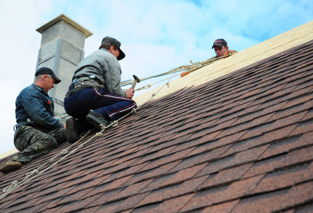 Best New Roof Installation  in Nanawale Estates, HI